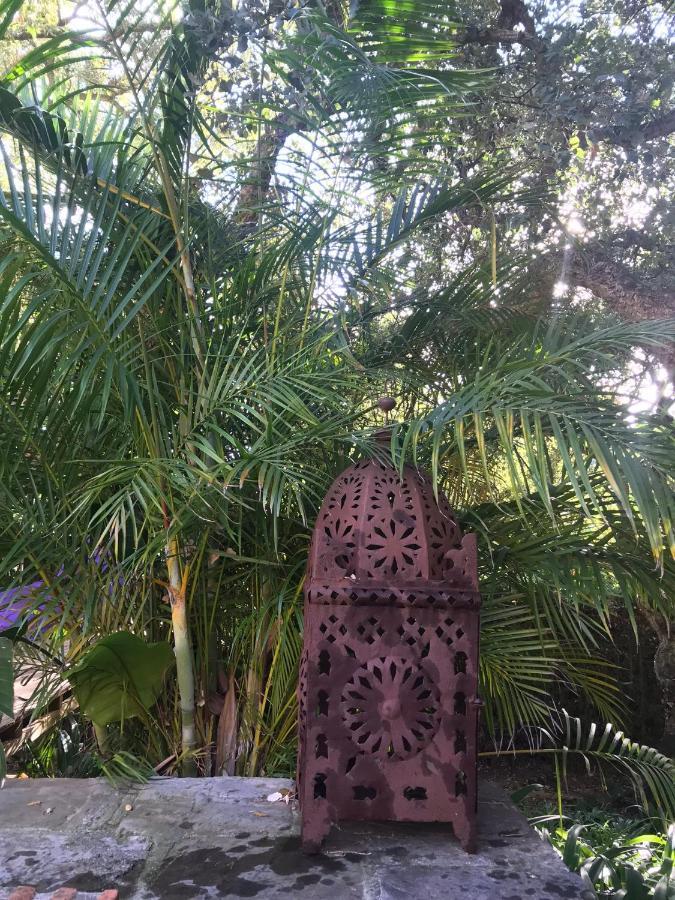 La Dulcinea Bed & Breakfast โซโตกรันเด ภายนอก รูปภาพ